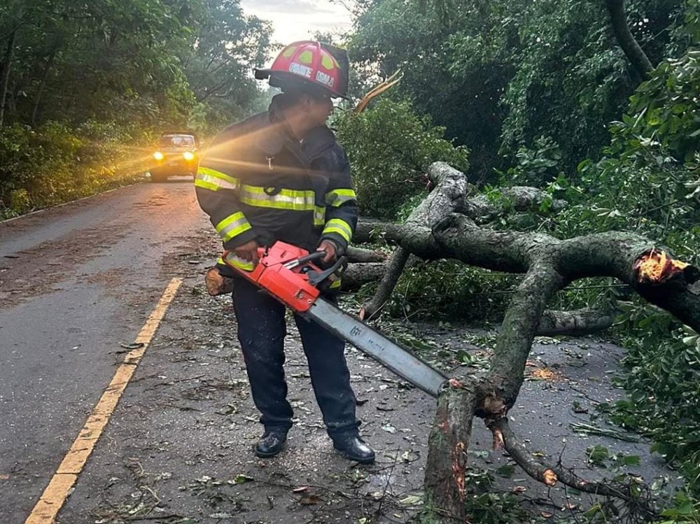 Motorista resulta herido tras caerle ramas de árboles en la ruta hacia La Blanca, San Marcos