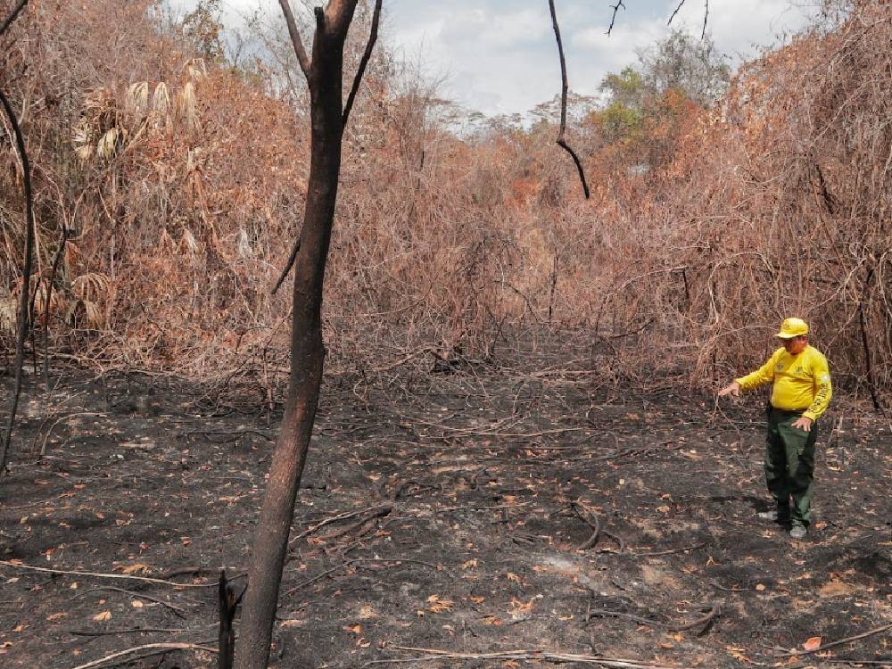 “¡No es el fuego, eres tú!”: Conap lanza campaña nacional para prevenir incendios forestales