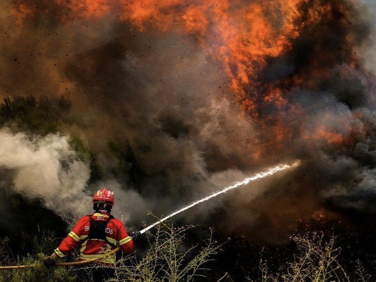 Ola de calor provoca devastadores incendios forestales en el sur de Europa