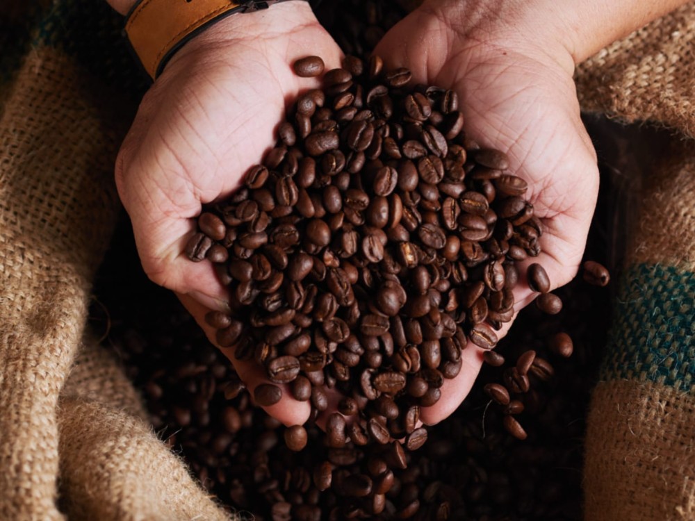 "Orígenes": La cita que conectará a caficultores de Huehuetenango con el sector comercial en Xela