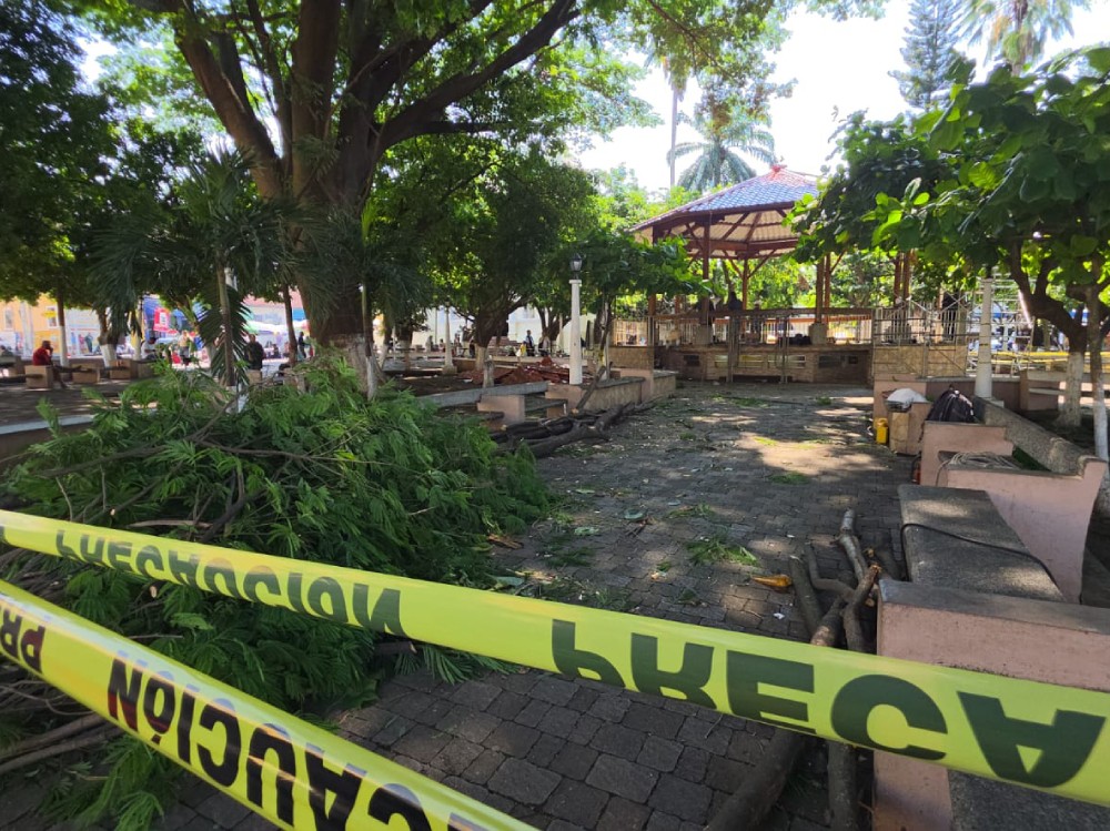 Poda preventiva de árboles en el parque de Mazatenango 