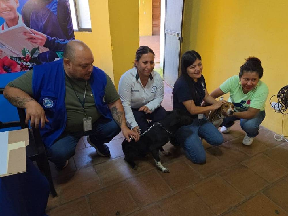 Pondrán en marcha campaña de vacunación antirrábica canina en Suchitepéquez