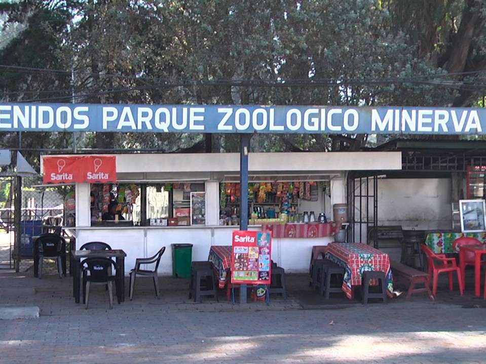 Preparan reapertura del Zoológico Minerva  
