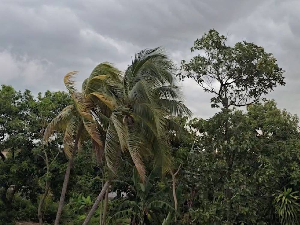 Prevén semana lluviosa con tormentas eléctricas en el país
