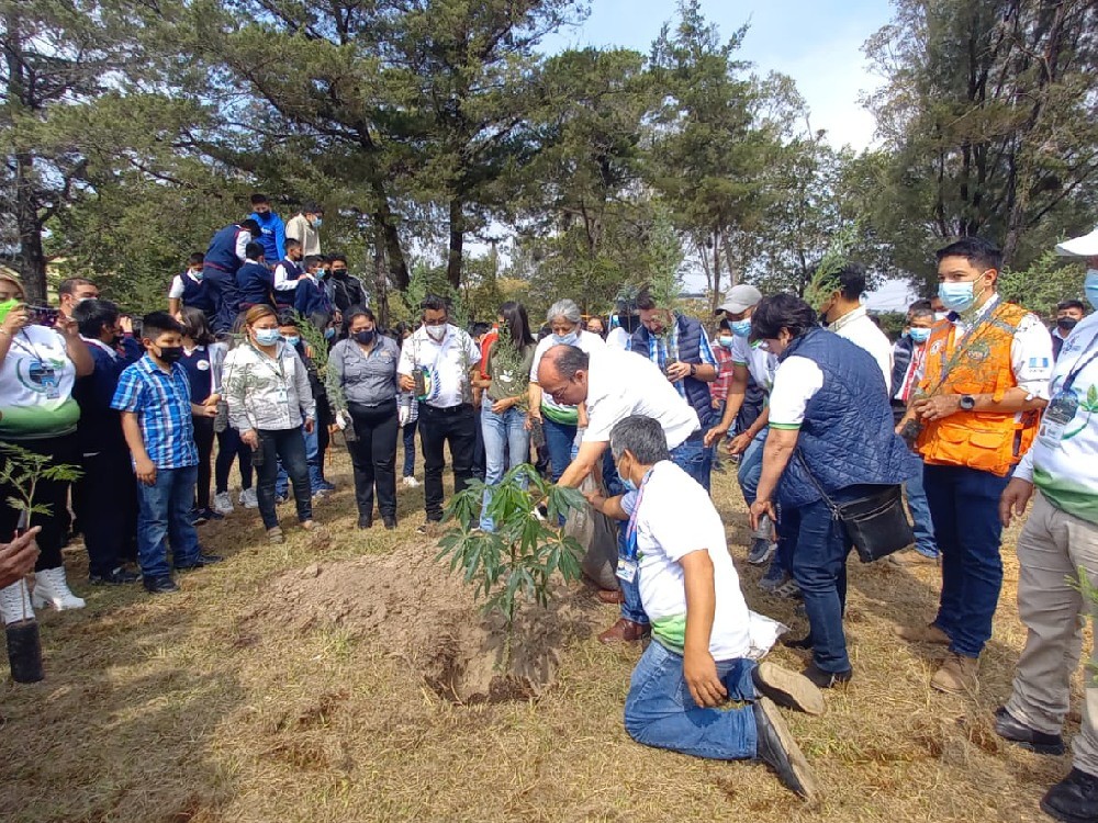 Promueven la reforestación en las comunidades