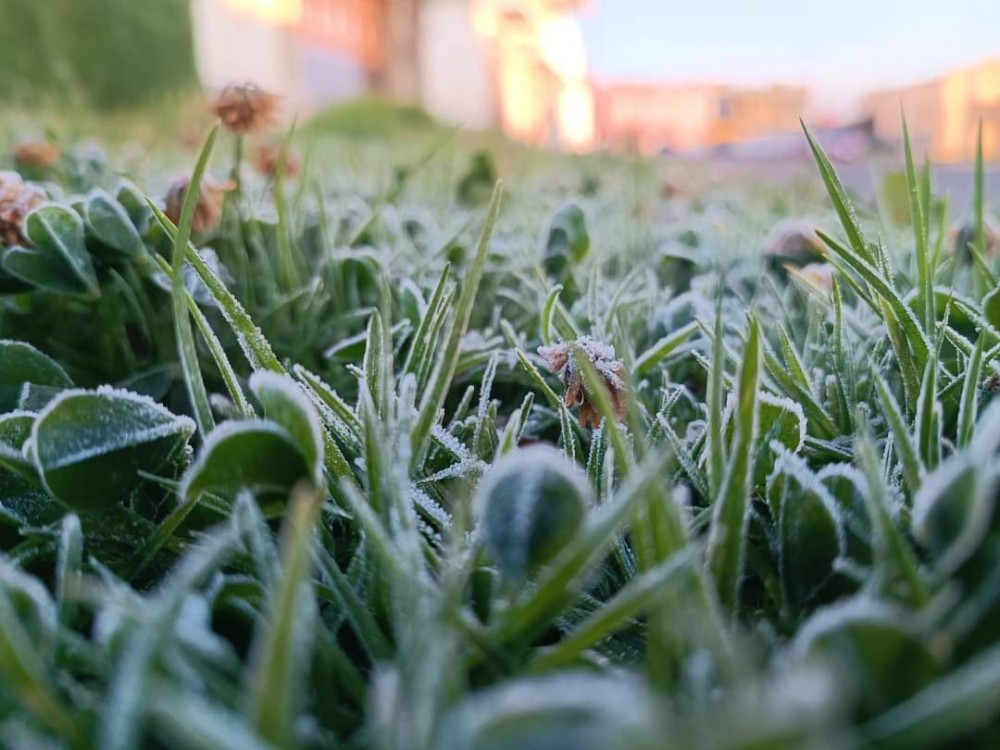 Quetzaltenango alcanzará los  -3 grados centígrados