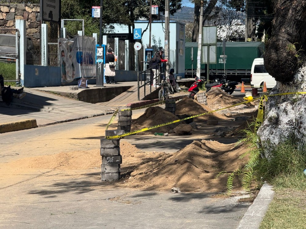 Raíces de árboles dañan tuberías de drenaje