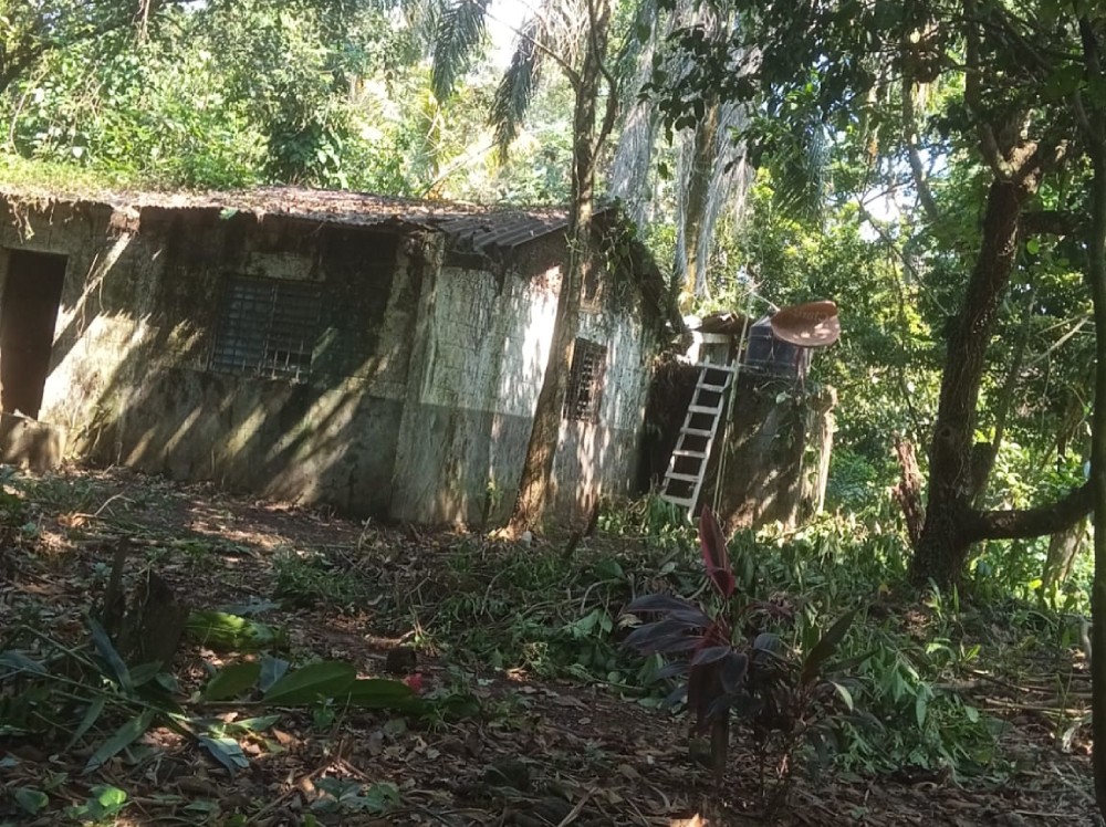 Refugio Huellitas de Amor Suchitepéquez solicita apoyo urgente para traslado y reconstrucción