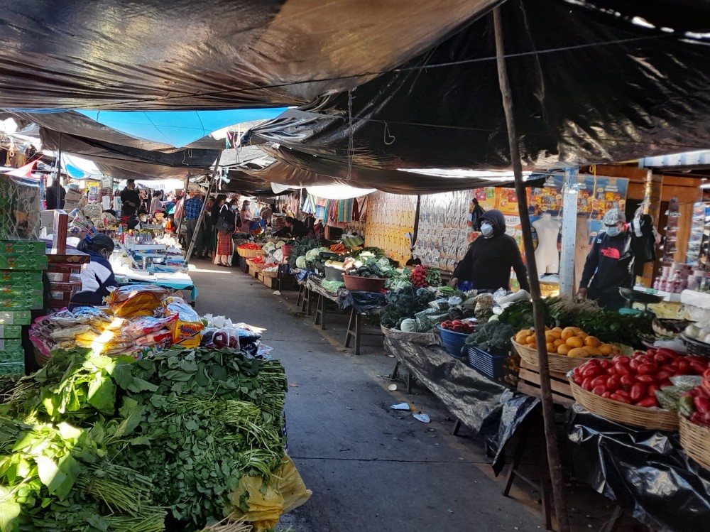 Reportan bajas ventas en Terminal Mosquito de San Pedro Sacatepéquez 