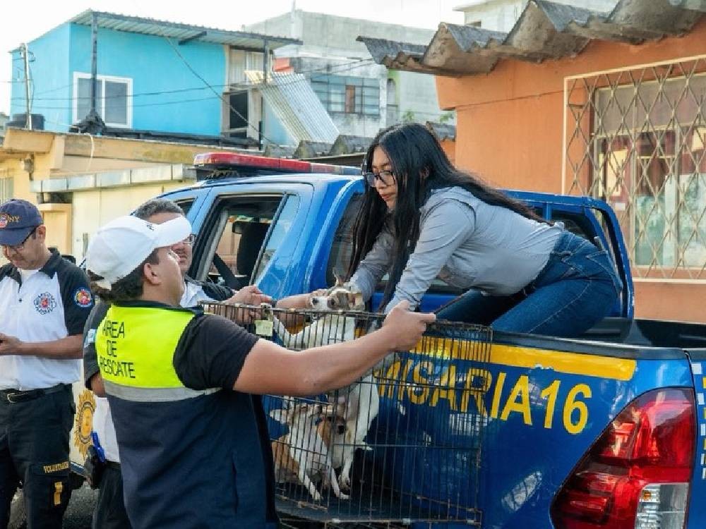 Rescatan a nueve mascotas en una vivienda donde es localizada una persona fallecida