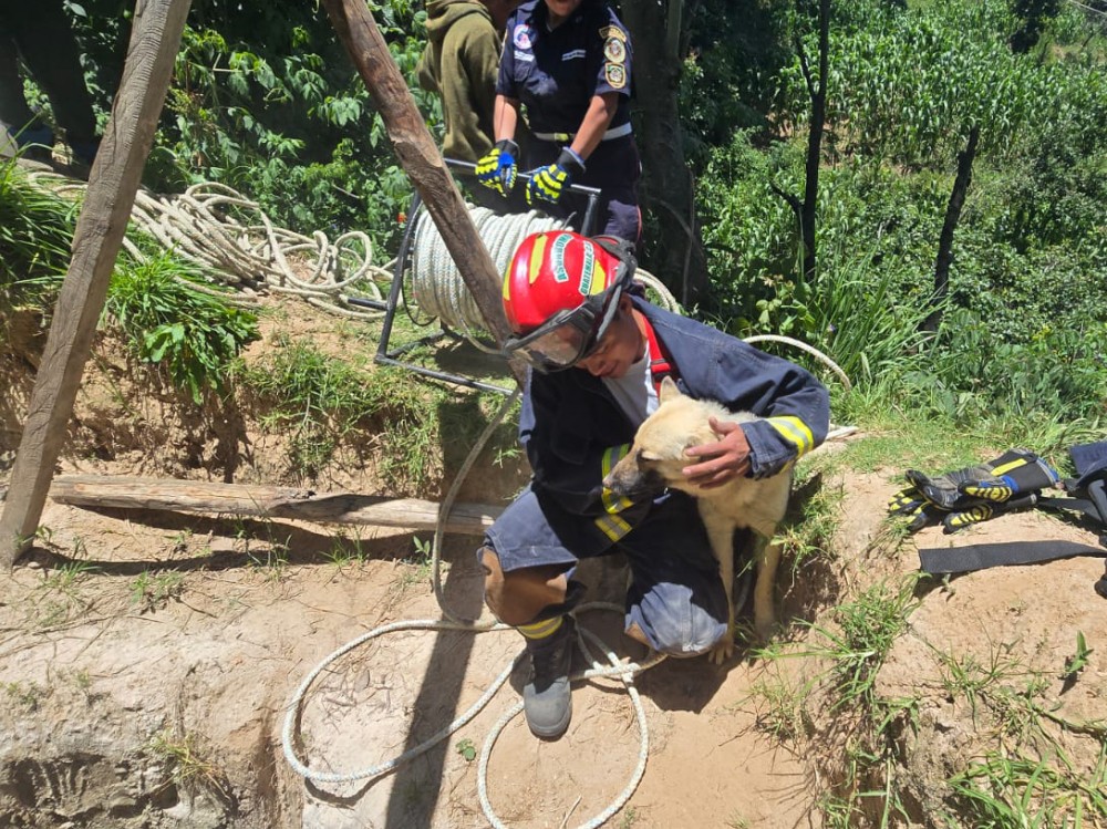 Rescatan con éxito a perro que cayó a un pozo de 15 metros en Tejutla