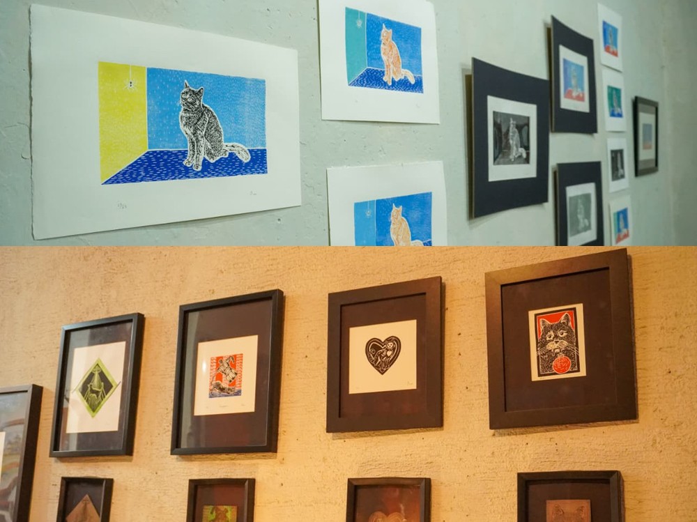 Roberto de León presenta “Secuenciales Gatos” en galería de Quetzaltenango