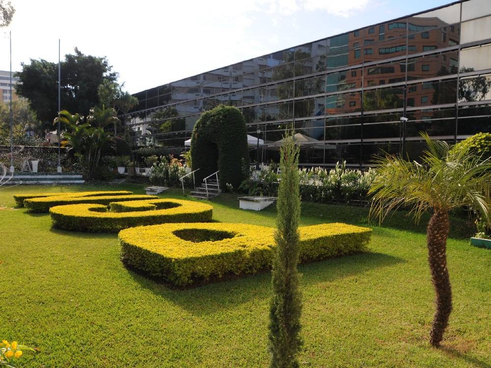 Sala ordena que más de Q361 millones pasen a favor del Estado