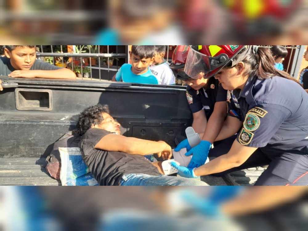 Se salva de morir tras caer de un árbol de 8 metros de altura