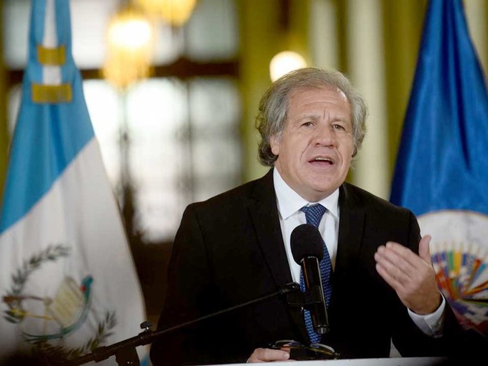 Secretario General de la OEA llegará a Guatemala para estudiar la situación electoral  