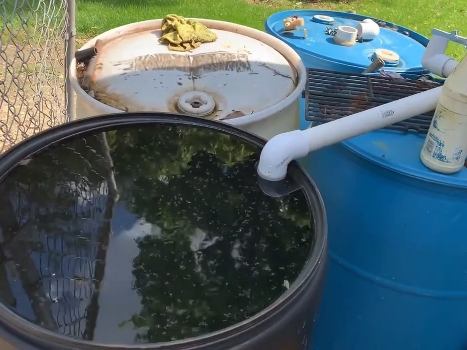 Investigan dos muertes por dengue en Suchitepéquez