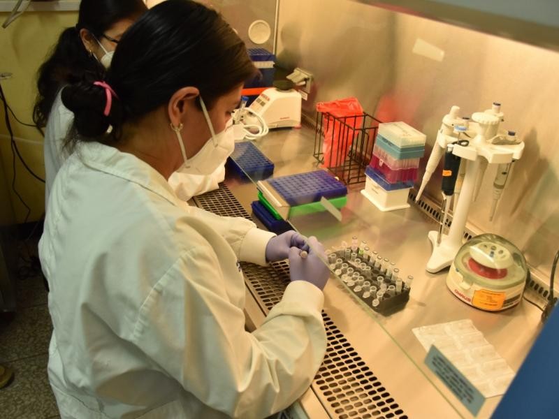 Suman 24 casos de viruela símica en Guatemala 