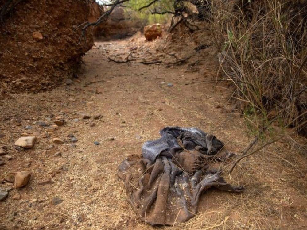 Suman 73 los cadáveres de migrantes hallados en el desierto de Arizona en lo que va de 2026