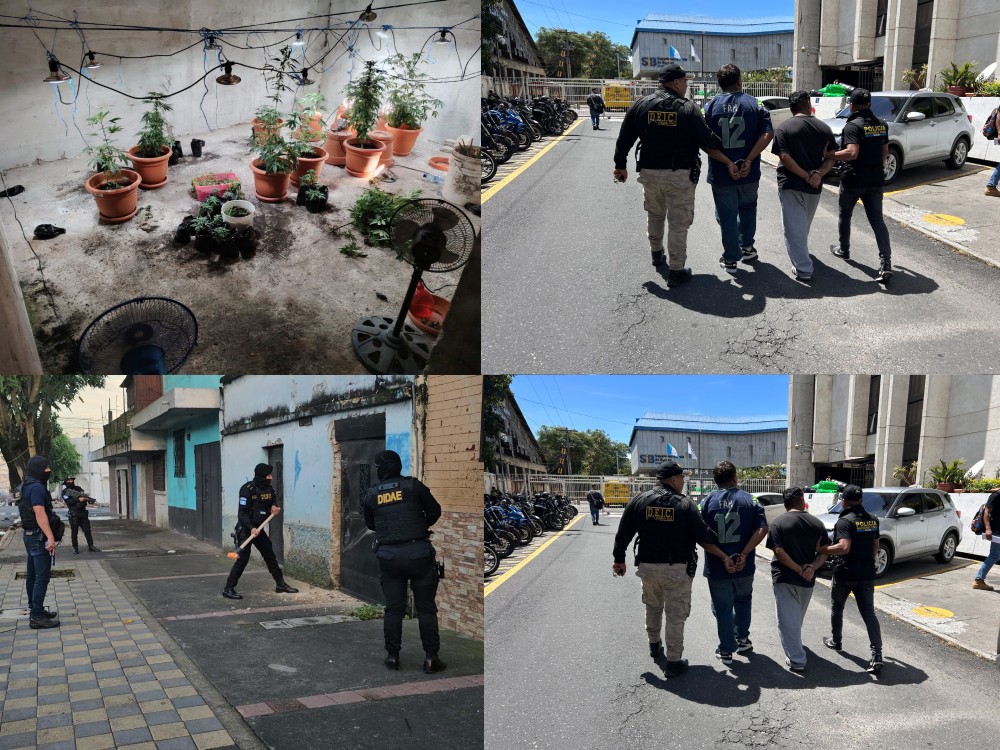 Van 19 capturados, droga y armas incautadas durante allanamientos a nivel nacional 