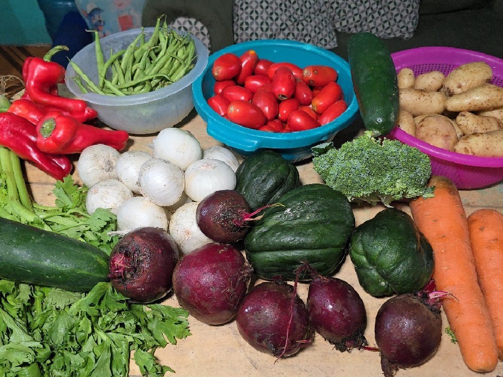 Verduras suben de precio en Mazatenango