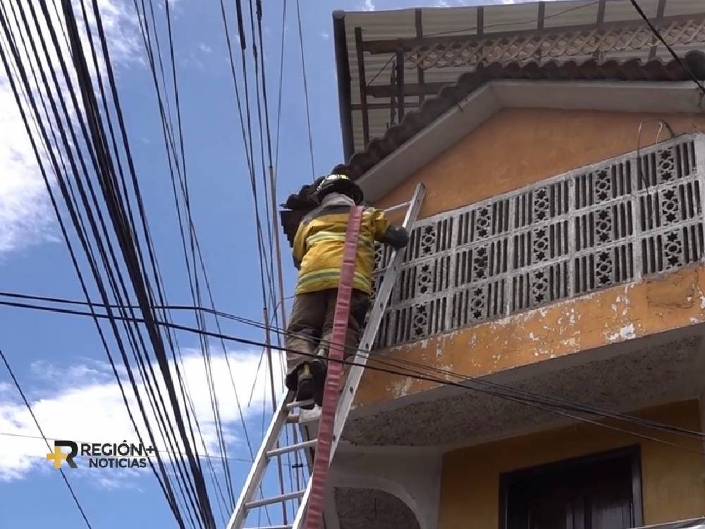 VIDEO| Bomberos Voluntarios sofocan incendio en avenida Las Américas