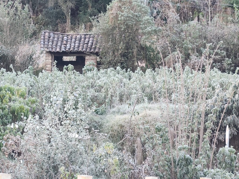 Xela registra -5 grados y vive la mañana más fría del 2026