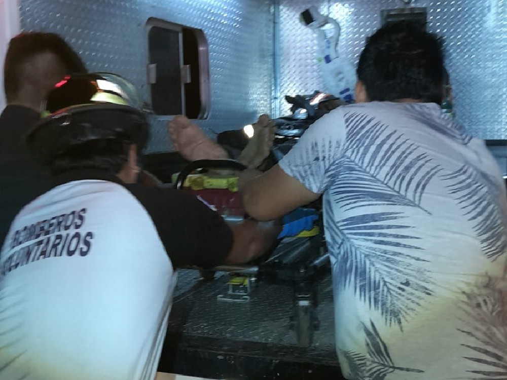 Yegua ocasiona accidente y fallece en el lugar
