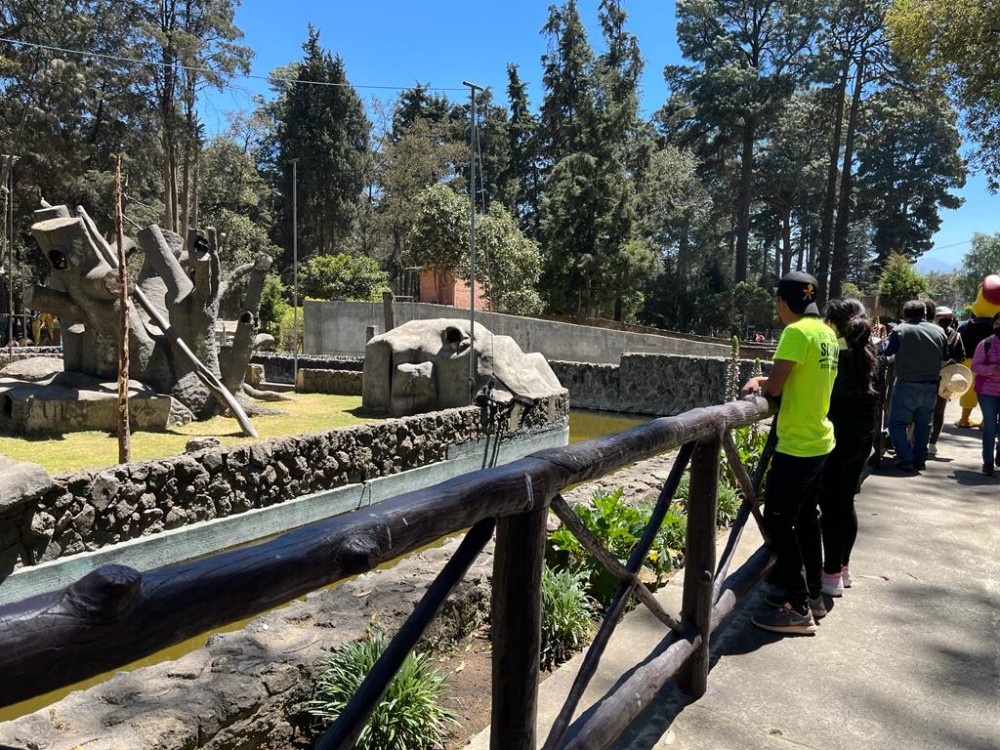 Zoológico Minerva podría cambiar horario este mes 